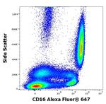 CD16 Antibody in Flow Cytometry (Flow)