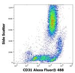 CD31 Antibody in Flow Cytometry (Flow)