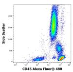 CD45 Antibody in Flow Cytometry (Flow)