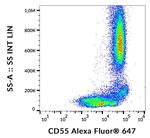 CD55 Antibody in Flow Cytometry (Flow)