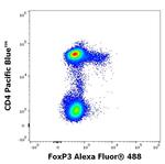 FOXP3 Antibody in Flow Cytometry (Flow)