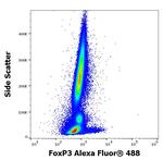 FOXP3 Antibody in Flow Cytometry (Flow)