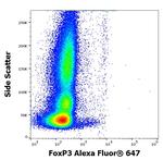 FOXP3 Antibody in Flow Cytometry (Flow)