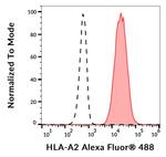 HLA-A2 Monoclonal Antibody (BB7.2), Alexa Fluor™ 488