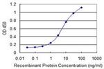 DAP Antibody in ELISA (ELISA)