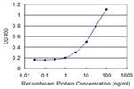 DCK Antibody in ELISA (ELISA)