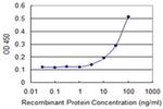 Septin 1 Antibody in ELISA (ELISA)