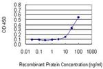 eIF2d Antibody in ELISA (ELISA)