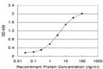 GLRA1 Antibody in ELISA (ELISA)