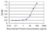 HOXB9 Antibody in ELISA (ELISA)