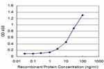 HOXC12 Antibody in ELISA (ELISA)