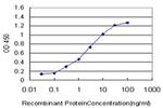 ING1 Antibody in ELISA (ELISA)