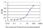 ORC4 Antibody in ELISA (ELISA)