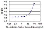 OVOL1 Monoclonal Antibody (1B3)