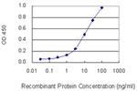 PHYH Antibody in ELISA (ELISA)