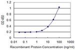 RPS9 Antibody in ELISA (ELISA)