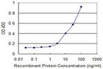 SSR2 Antibody in ELISA (ELISA)