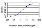 STAC Antibody in ELISA (ELISA)
