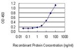 Tenascin R Monoclonal Antibody (1D12)