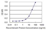 ZNF180 Antibody in ELISA (ELISA)