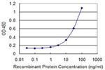ZNF232 Antibody in ELISA (ELISA)