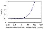 eIF3i Antibody in ELISA (ELISA)