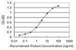 CRSP130 Antibody in ELISA (ELISA)