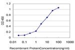 PCDHGA8 Antibody in ELISA (ELISA)