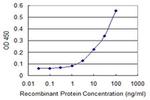ZNF197 Antibody in ELISA (ELISA)