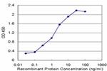RBM6 Antibody in ELISA (ELISA)