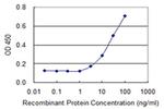 ABCA10 Antibody in ELISA (ELISA)