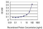 AHA1 Antibody in ELISA (ELISA)