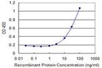 ZNF266 Antibody in ELISA (ELISA)