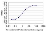 PWP1 Antibody in ELISA (ELISA)
