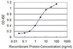 TFEC Antibody in ELISA (ELISA)