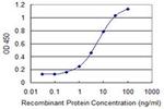 COMMD3 Antibody in ELISA (ELISA)