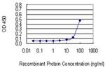 FLRT1 Monoclonal Antibody (4E10)