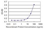 FBXW4P1 Antibody in ELISA (ELISA)