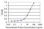 ASB3 Antibody in ELISA (ELISA)