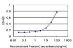 HSFX1 Antibody in ELISA (ELISA)