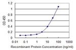 MBIP Antibody in ELISA (ELISA)