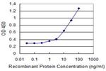 ZNF44 Antibody in ELISA (ELISA)