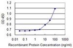Aprataxin Antibody in ELISA (ELISA)