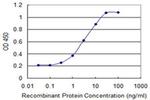 TRAC-1 Antibody in ELISA (ELISA)