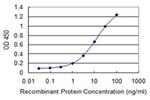 MSL2 Monoclonal Antibody (3A4)