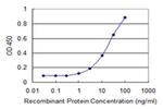 PANK4 Antibody in ELISA (ELISA)