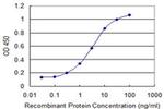 GIMAP4 Antibody in ELISA (ELISA)