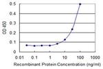 PCDHGC5 Antibody in ELISA (ELISA)