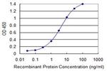 PCDHGB2 Antibody in ELISA (ELISA)