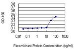 PCDHA2 Antibody in ELISA (ELISA)
